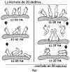 20deditos.JPG (41068 bytes)