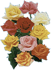 roses01.gif