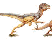 Deinonychus