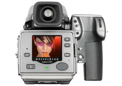 Hasselblad H2D